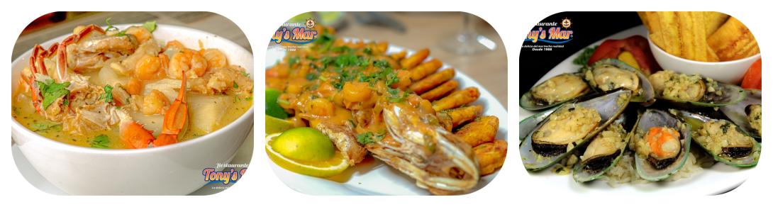 Tony's Mar